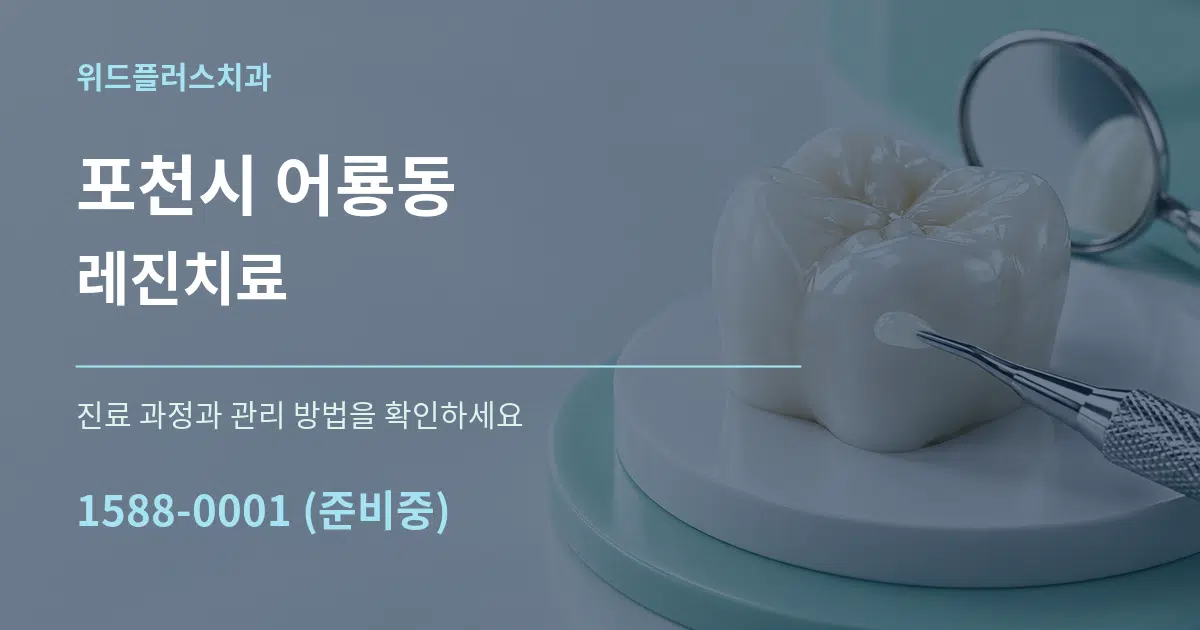 포천시 어룡동 레진치료 서비스 이용 안내 그래픽