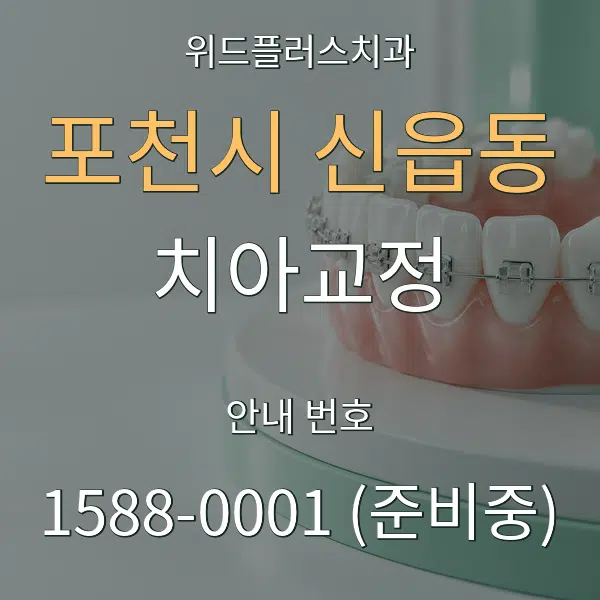 포천시 신읍동 치아교정 대표 안내 그래픽