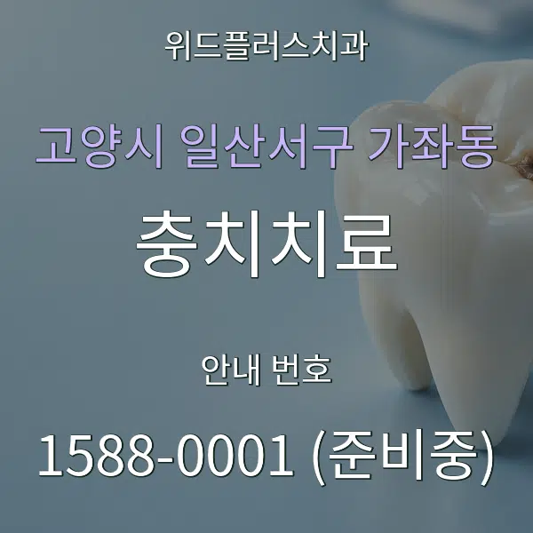 고양시 일산서구 가좌동 충치치료 대표 안내 그래픽