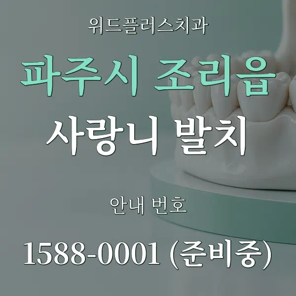 파주시 조리읍 사랑니 발치 대표 안내 그래픽