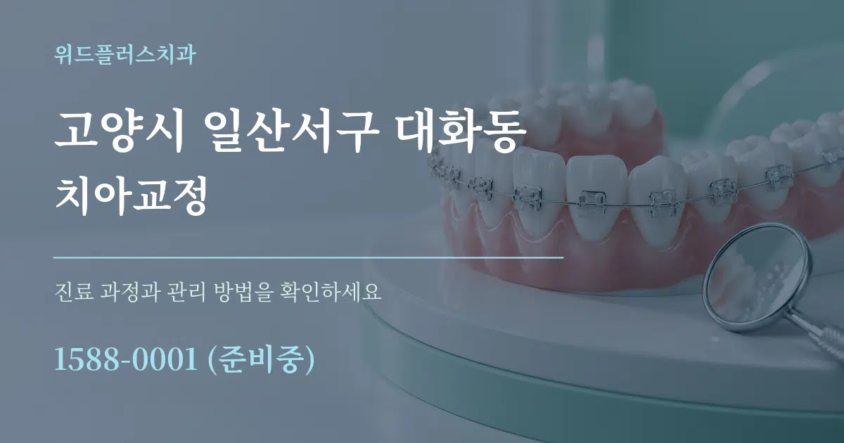 고양시 일산서구 대화동 치아교정 작업 조건 안내 그래픽