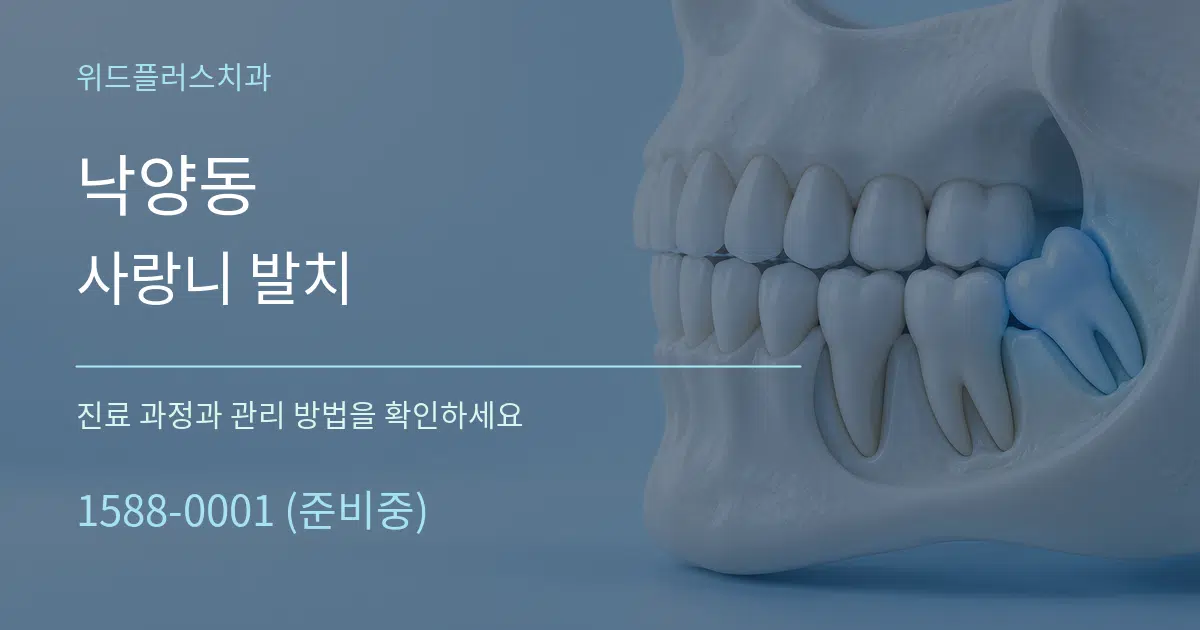 낙양동 사랑니 발치 서비스 이용 안내 그래픽