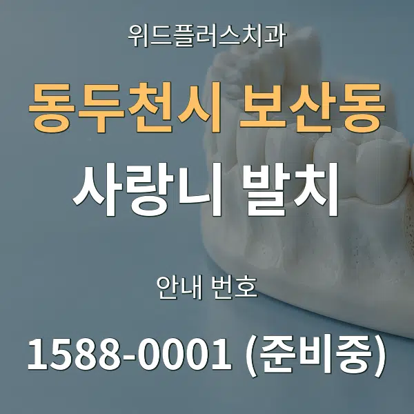 동두천시 보산동 사랑니 발치 대표 안내 그래픽