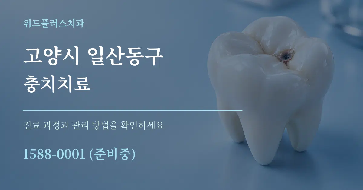 고양시 일산동구 충치치료 서비스 이용 안내 그래픽