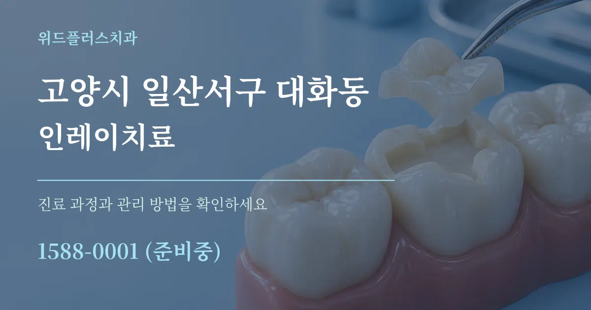 고양시 일산서구 대화동 인레이치료 서비스 이용 안내 그래픽