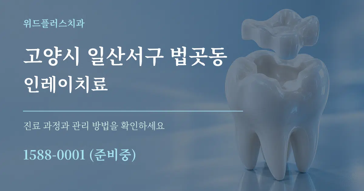 고양시 일산서구 법곳동 인레이치료 서비스 이용 안내 그래픽