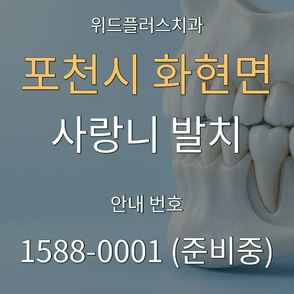 포천시 화현면 사랑니 발치 대표 안내 그래픽
