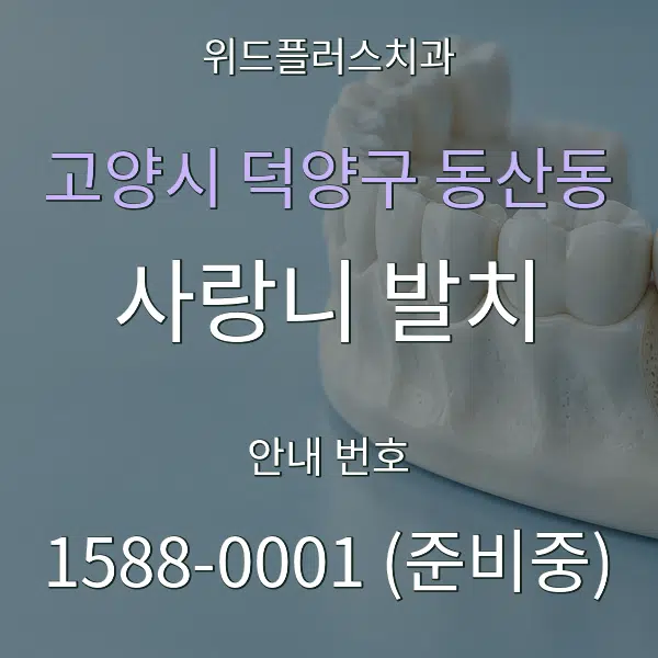 고양시 덕양구 동산동 사랑니 발치 대표 안내 그래픽