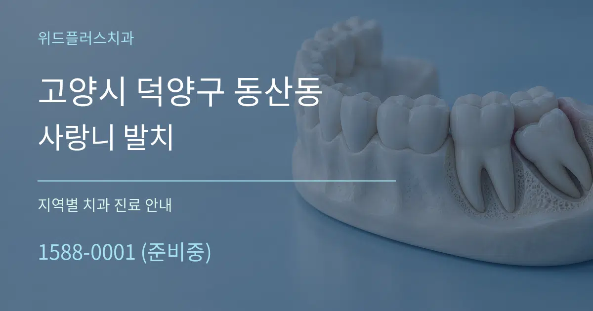 고양시 덕양구 동산동 사랑니 발치 대표 안내 그래픽