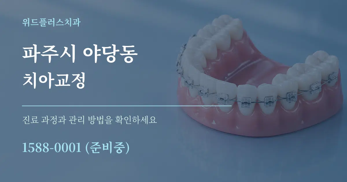 파주시 야당동 치아교정 서비스 이용 안내 그래픽