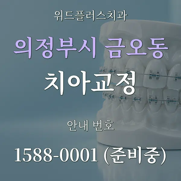 의정부시 금오동 치아교정 대표 안내 그래픽