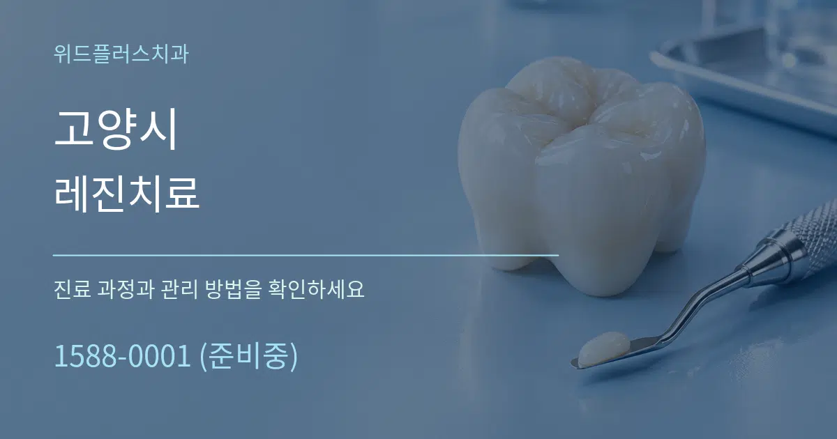 고양시 레진치료 서비스 이용 안내 그래픽
