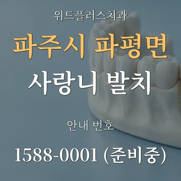 파주시 파평면 사랑니 발치 대표 안내 그래픽