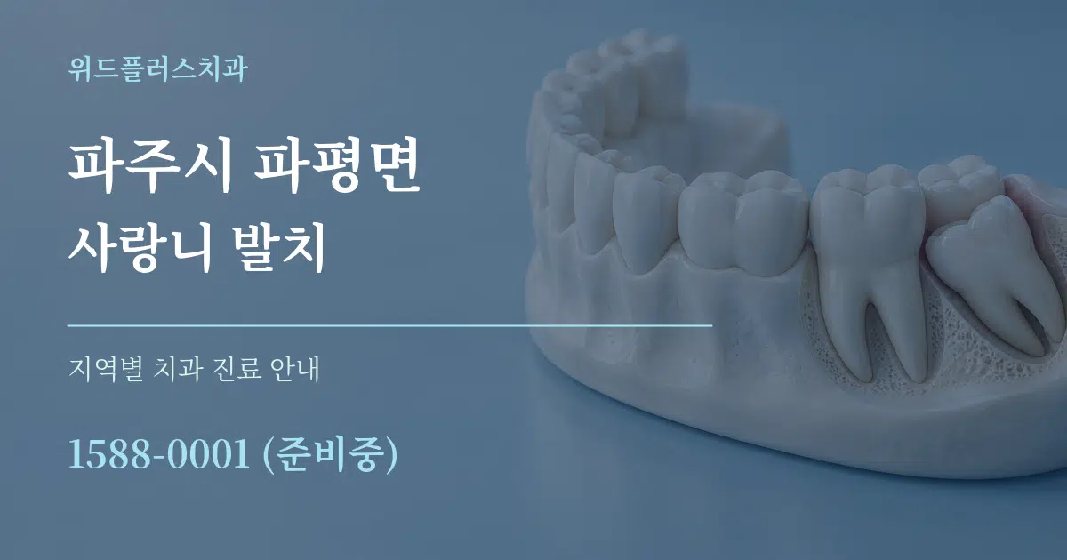 파주시 파평면 사랑니 발치 대표 안내 그래픽