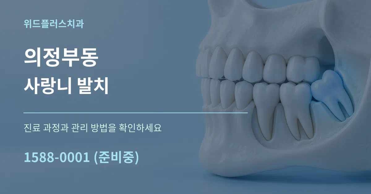 의정부동 사랑니 발치 서비스 이용 안내 그래픽