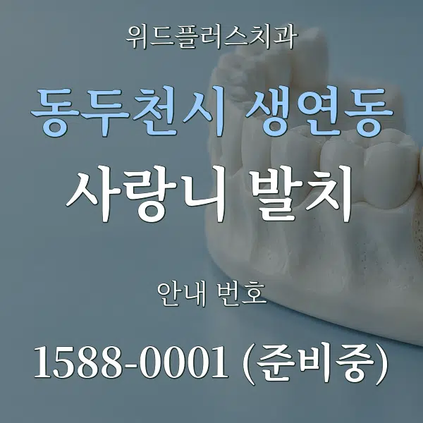 동두천시 생연동 사랑니 발치 대표 안내 그래픽