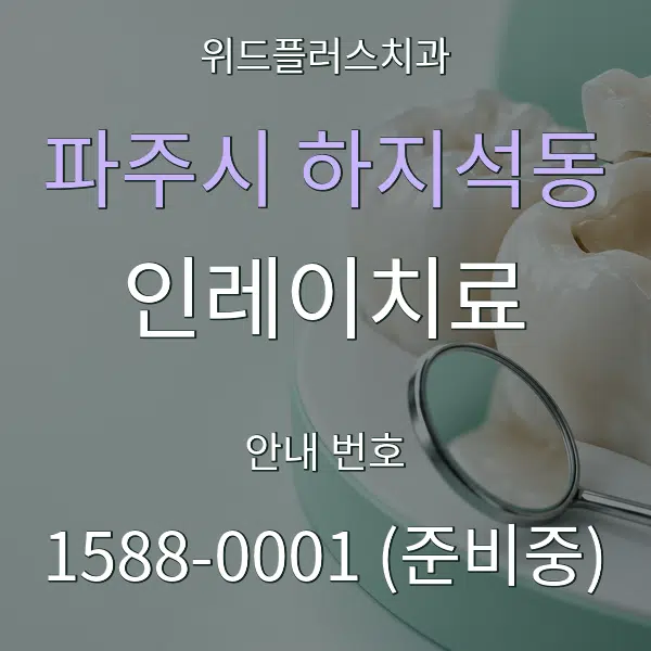파주시 하지석동 인레이치료 대표 안내 그래픽