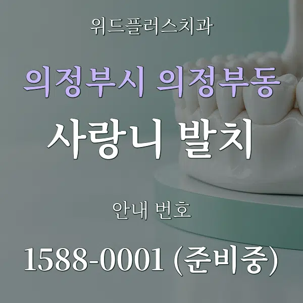 의정부시 의정부동 사랑니 발치 대표 안내 그래픽