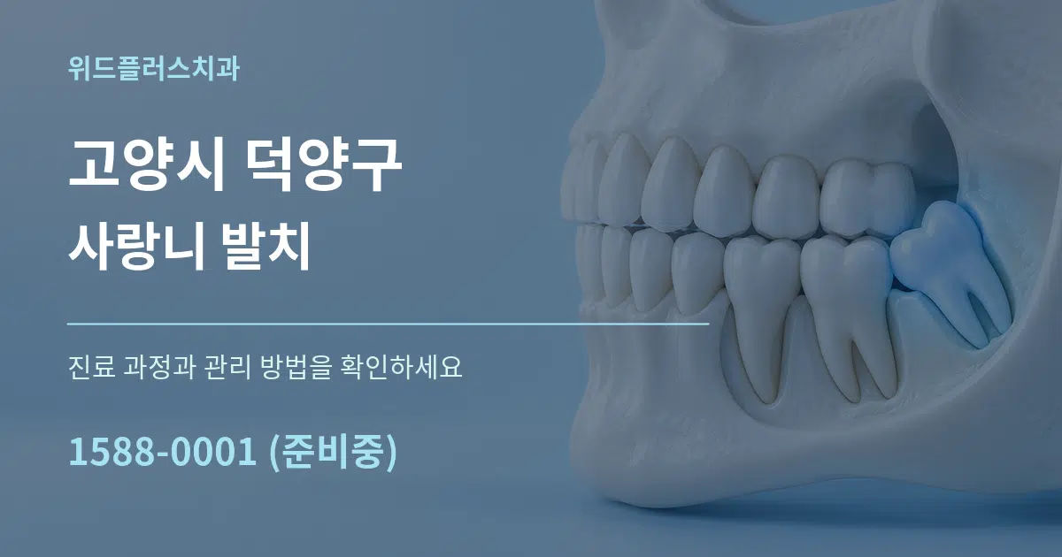 고양시 덕양구 사랑니 발치 작업 조건 안내 그래픽