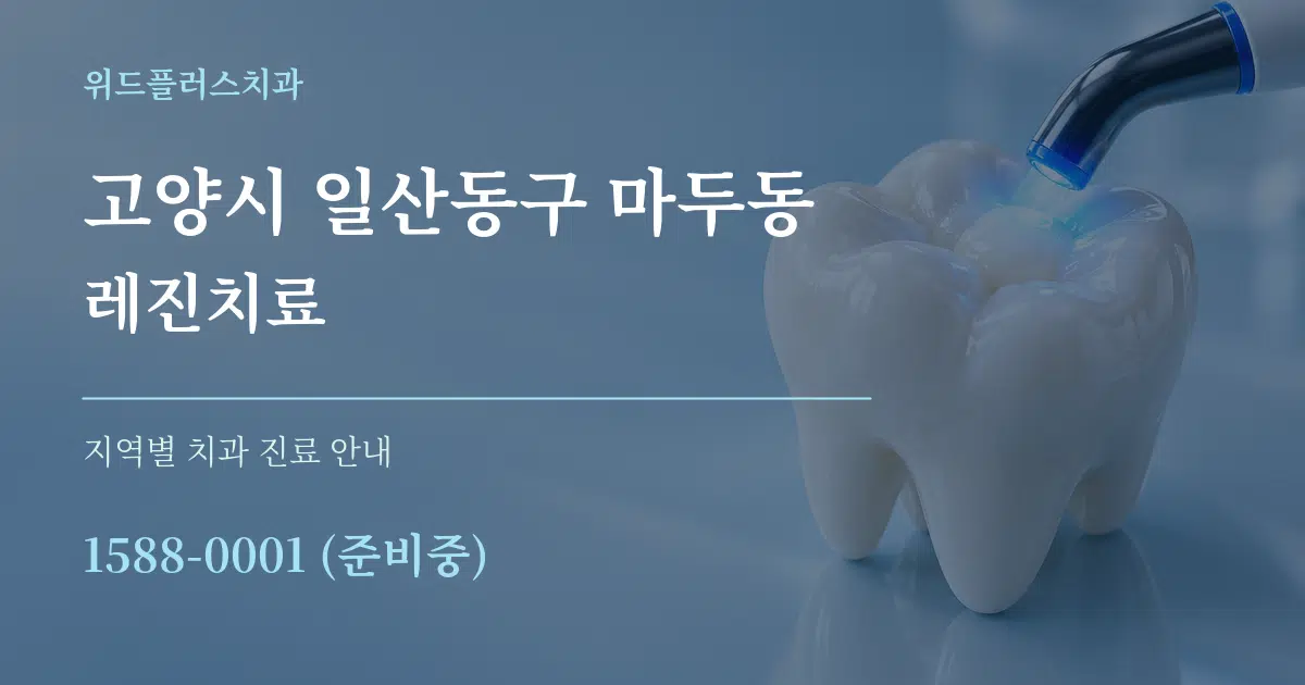 고양시 일산동구 마두동 레진치료 대표 안내 그래픽
