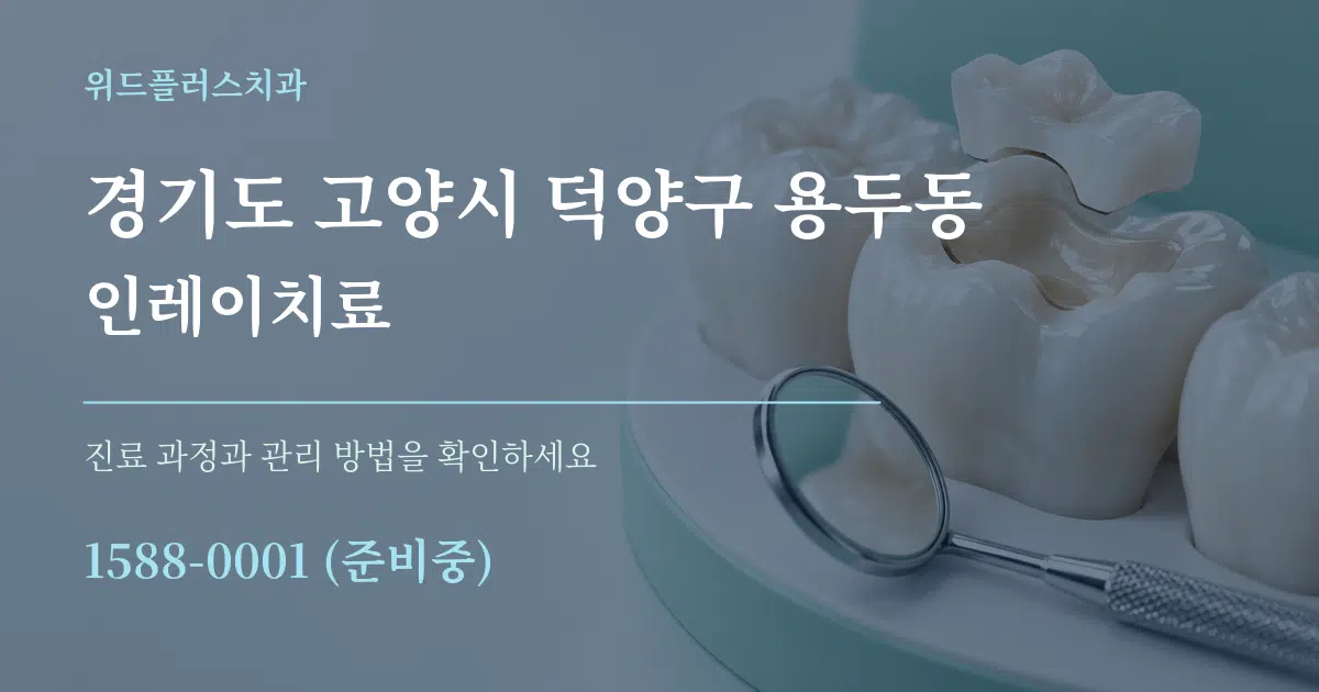 경기도 고양시 덕양구 용두동 인레이치료 작업 조건 안내 그래픽