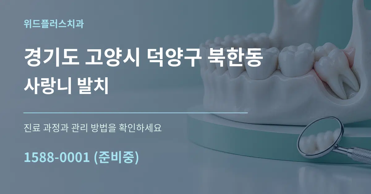 경기도 고양시 덕양구 북한동 사랑니 발치 작업 조건 안내 그래픽