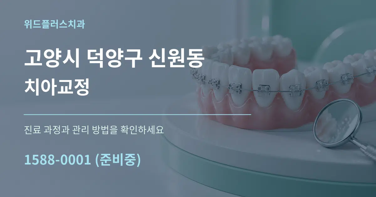 고양시 덕양구 신원동 치아교정 서비스 이용 안내 그래픽