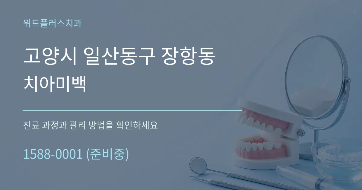 고양시 일산동구 장항동 치아미백 서비스 이용 안내 그래픽