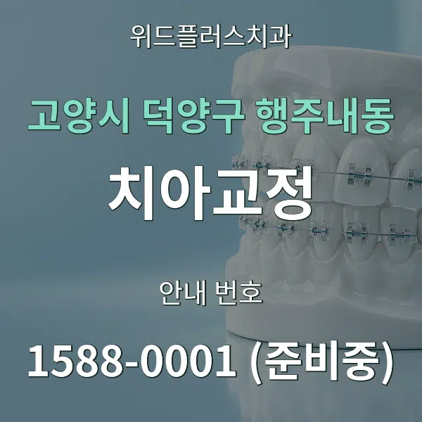 고양시 덕양구 행주내동 치아교정 대표 안내 그래픽