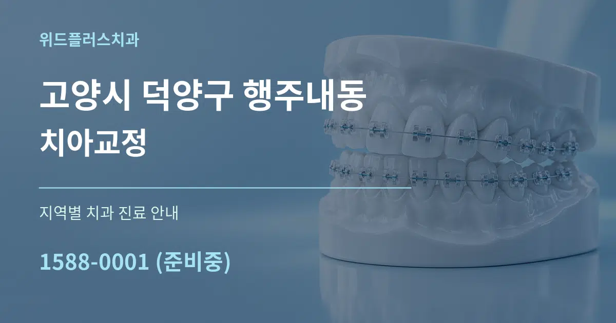 고양시 덕양구 행주내동 치아교정 대표 안내 그래픽