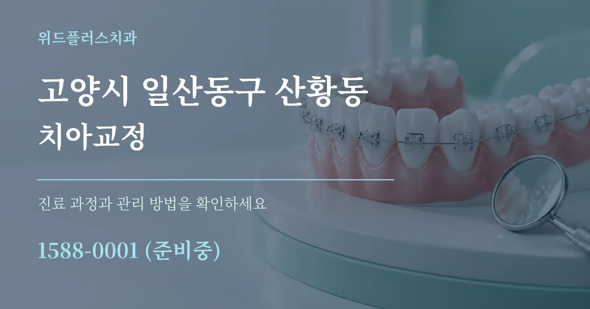 고양시 일산동구 산황동 치아교정 작업 조건 안내 그래픽