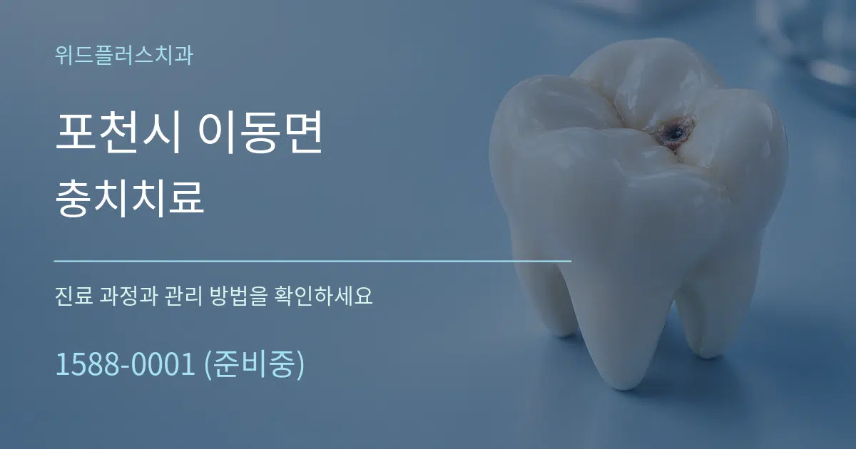 포천시 이동면 충치치료 서비스 이용 안내 그래픽
