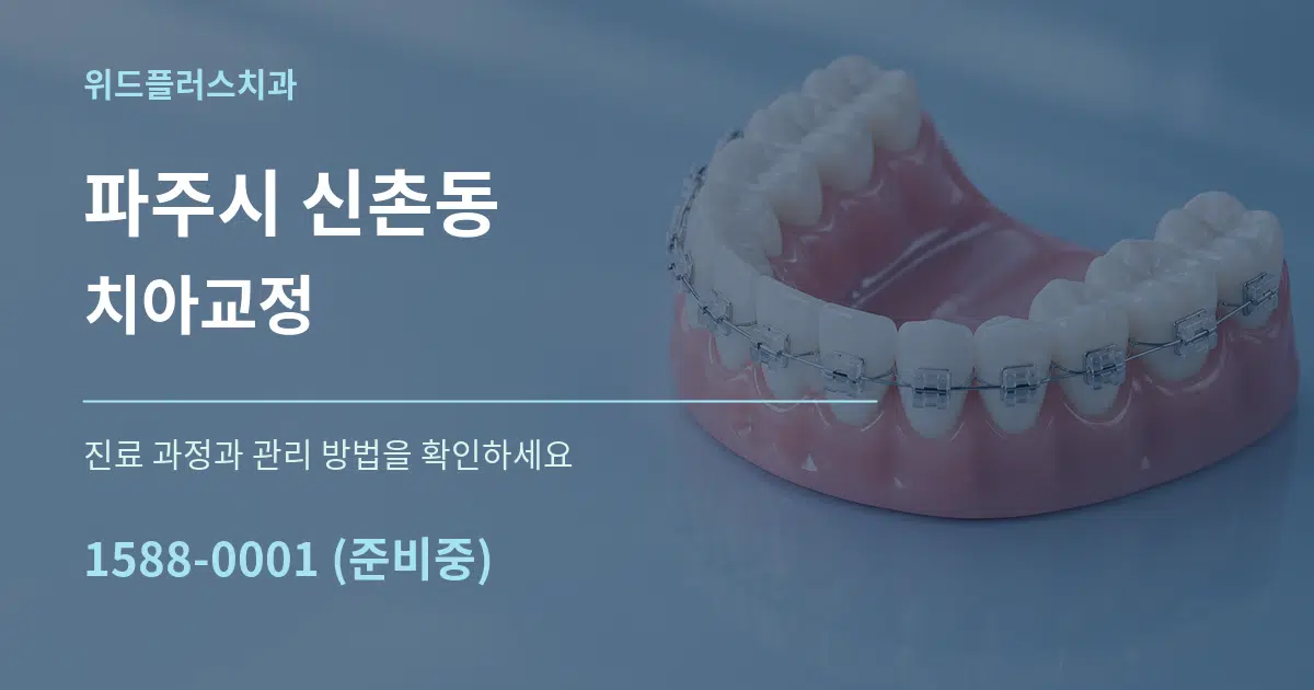 파주시 신촌동 치아교정 서비스 이용 안내 그래픽