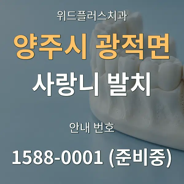 양주시 광적면 사랑니 발치 대표 안내 그래픽