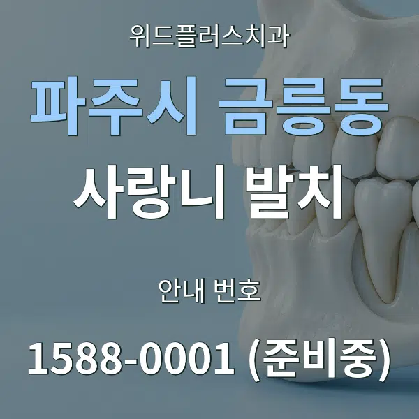 파주시 금릉동 사랑니 발치 대표 안내 그래픽