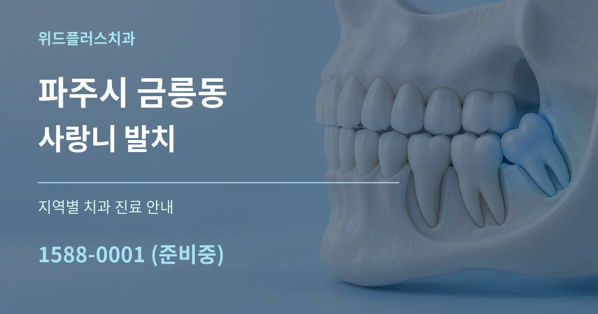 파주시 금릉동 사랑니 발치 대표 안내 그래픽