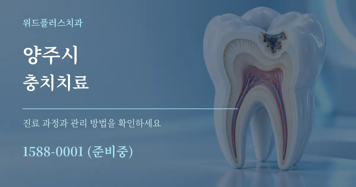 양주시 충치치료 서비스 이용 안내 그래픽