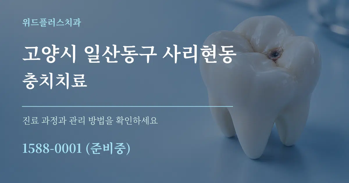 고양시 일산동구 사리현동 충치치료 작업 조건 안내 그래픽
