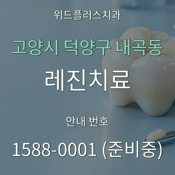 고양시 덕양구 내곡동 레진치료 대표 안내 그래픽