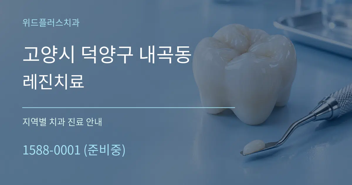 고양시 덕양구 내곡동 레진치료 대표 안내 그래픽