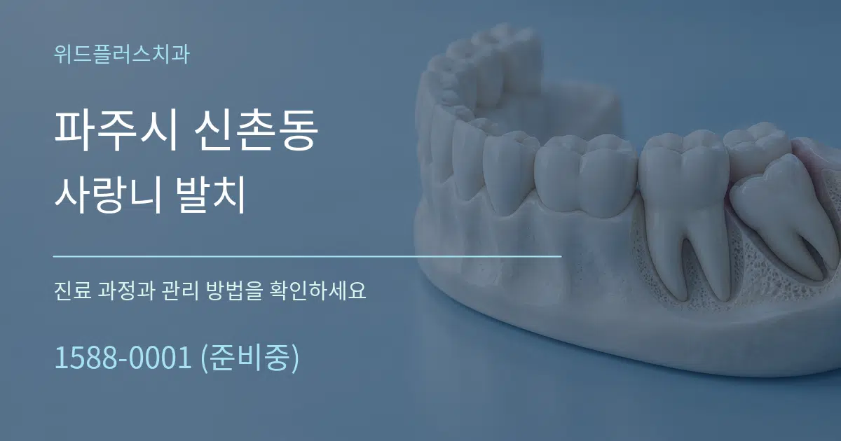 파주시 신촌동 사랑니 발치 서비스 이용 안내 그래픽