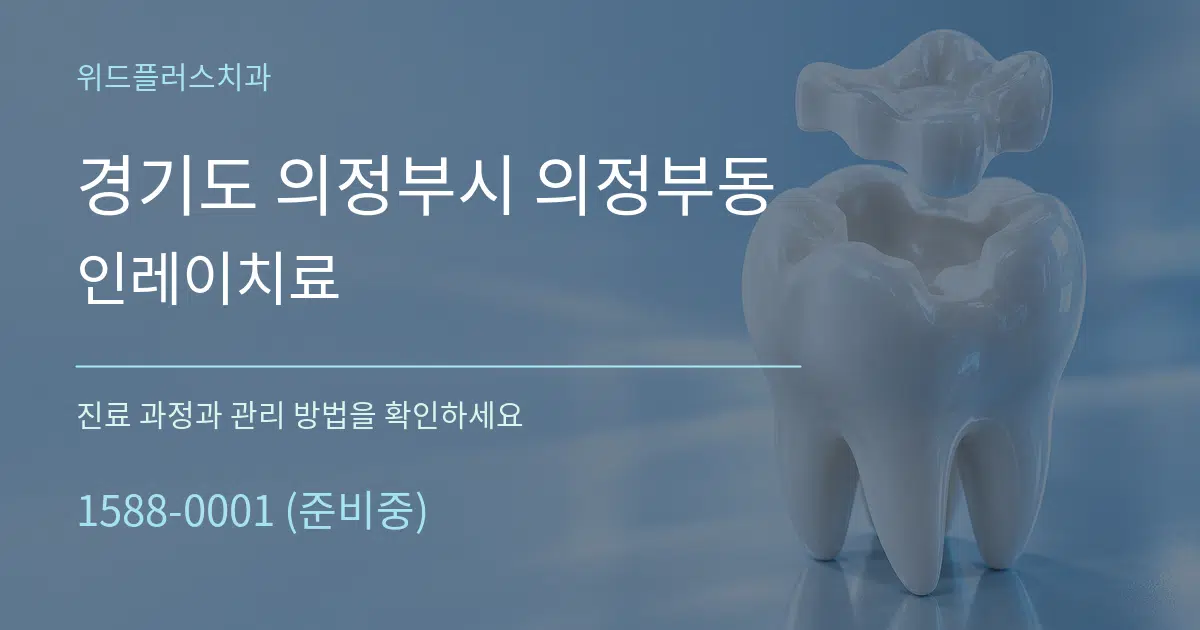 경기도 의정부시 의정부동 인레이치료 서비스 이용 안내 그래픽