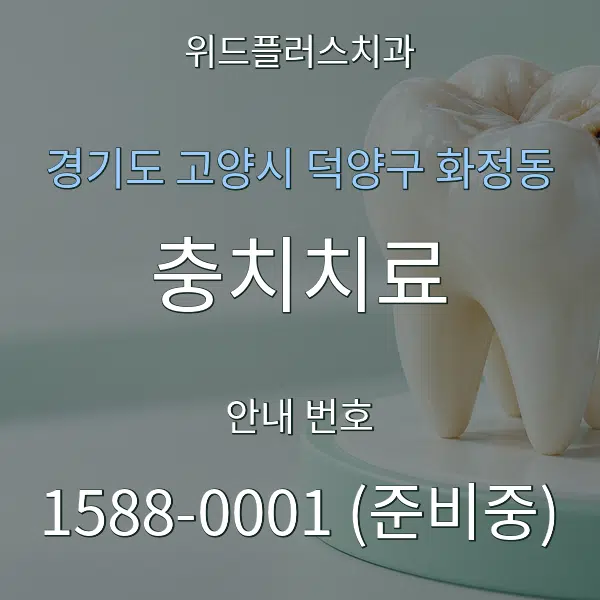 경기도 고양시 덕양구 화정동 충치치료 대표 안내 그래픽