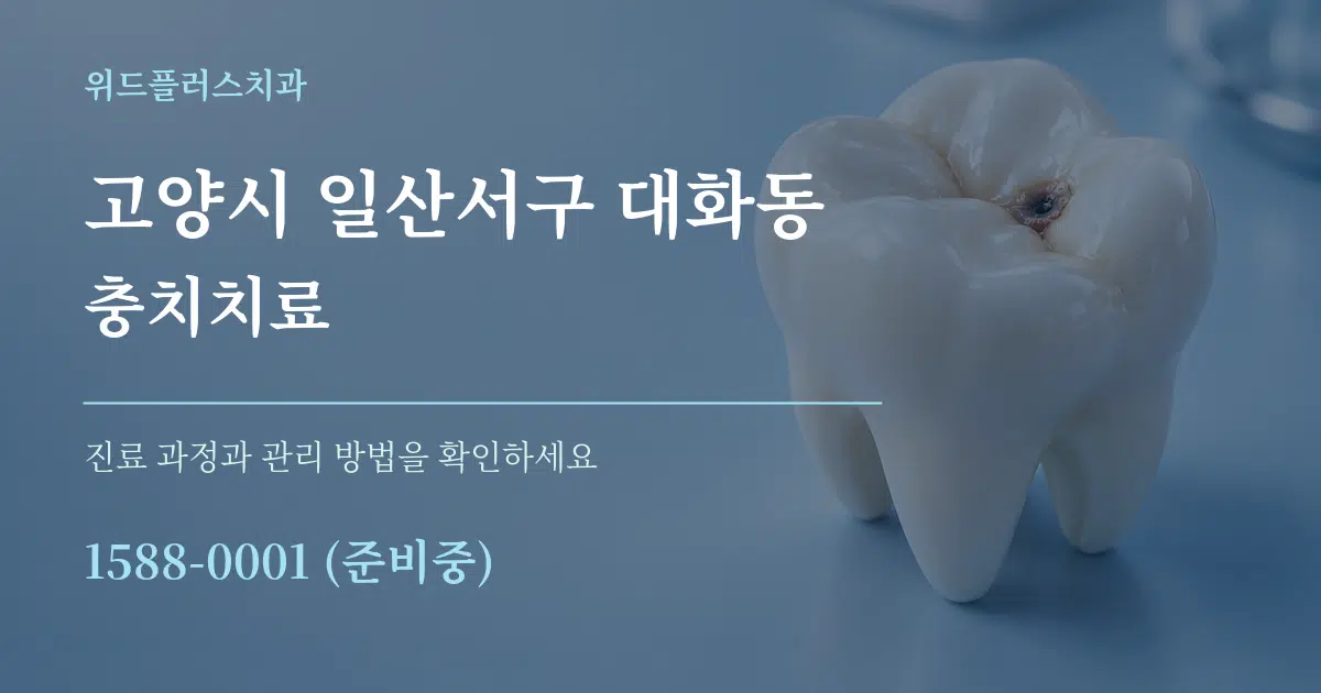 고양시 일산서구 대화동 충치치료 서비스 이용 안내 그래픽