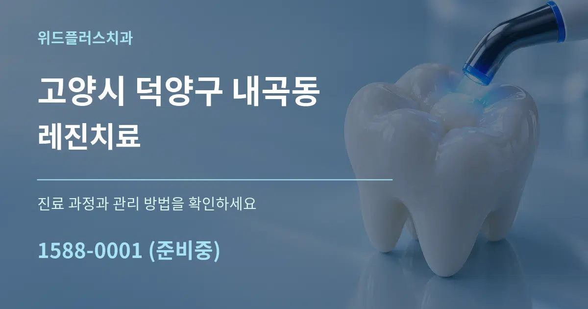 고양시 덕양구 내곡동 레진치료 작업 조건 안내 그래픽