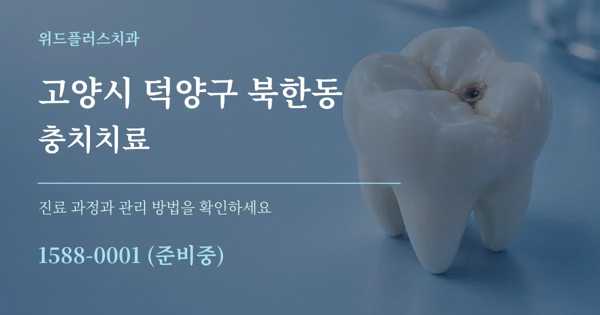고양시 덕양구 북한동 충치치료 서비스 이용 안내 그래픽