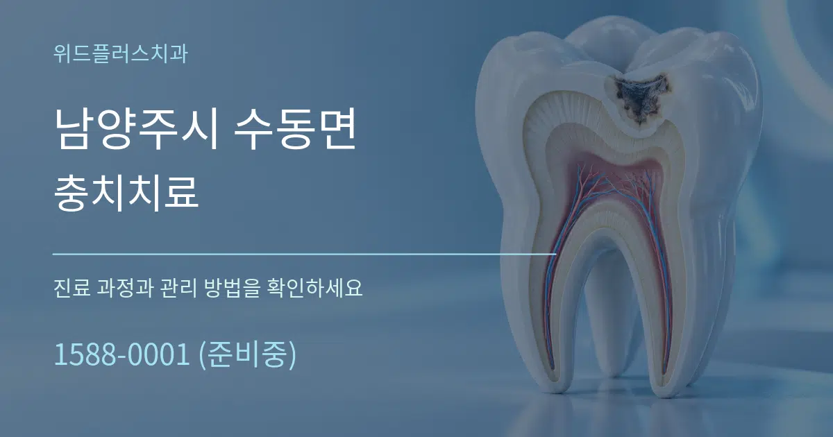 남양주시 수동면 충치치료 서비스 이용 안내 그래픽