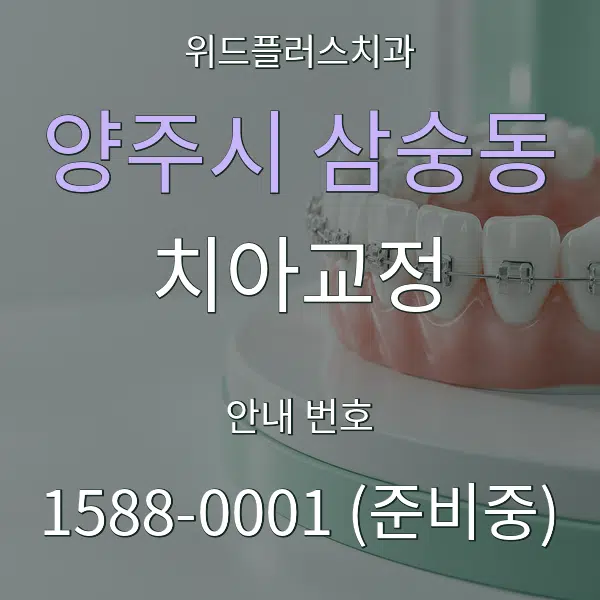 양주시 삼숭동 치아교정 대표 안내 그래픽