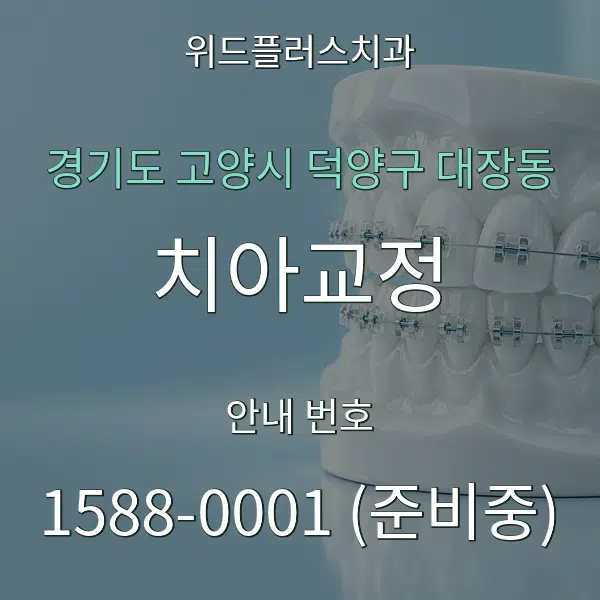 경기도 고양시 덕양구 대장동 치아교정 대표 안내 그래픽