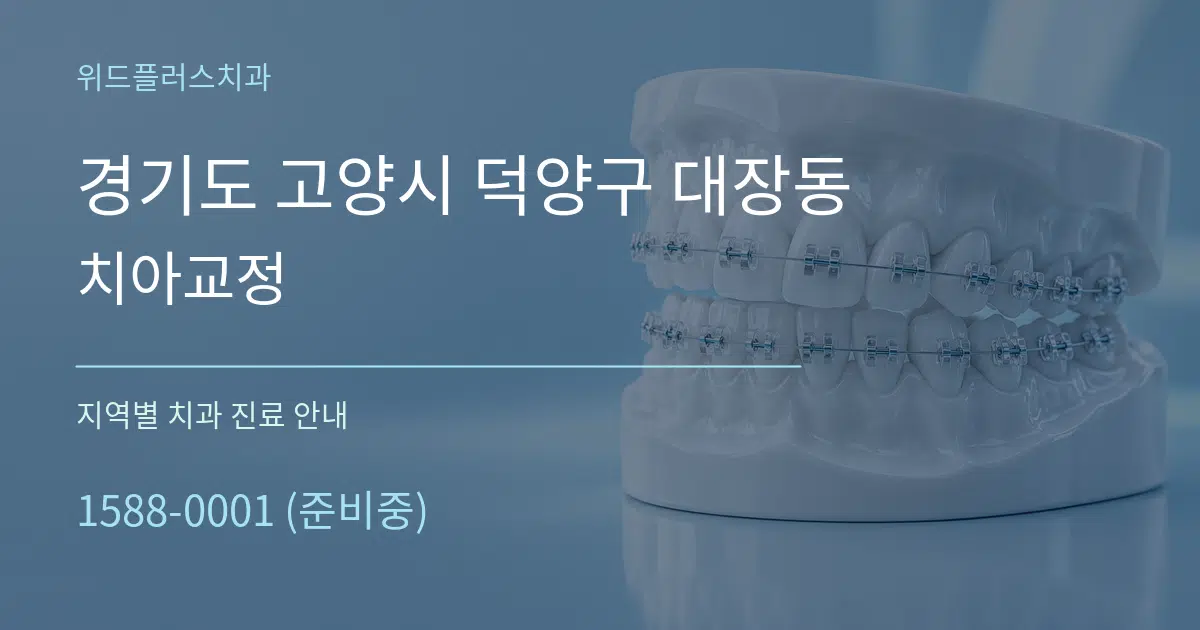 경기도 고양시 덕양구 대장동 치아교정 대표 안내 그래픽